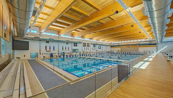 product-600-340 MCM Modified Clay Econic Clay Flexible Rock Panel Swimming Pool