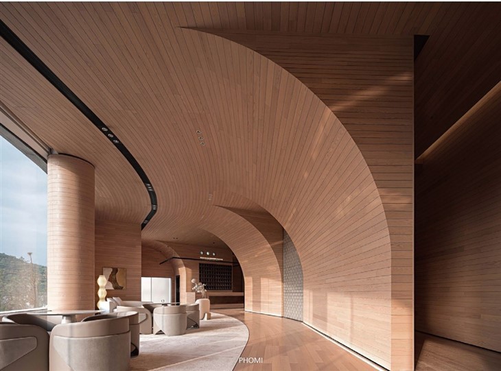 PHOMI Brick For Various Residential Facade