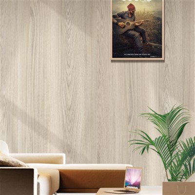 Weather-resistant Poly Wood Wall Cladding