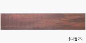 Laying Outdoor Tiles with Solid Wood Flooring Effect for Porch and Villa Wall