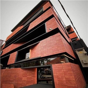 Exterior Wall Cladding House Ceiling Cladding Tile Soft Clay Porcelain Facing Brick Flexible Wall Tiles Installation Fast Ceramic